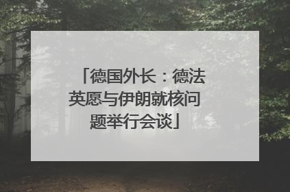 德国外长：德法英愿与伊朗就核问题举行会谈