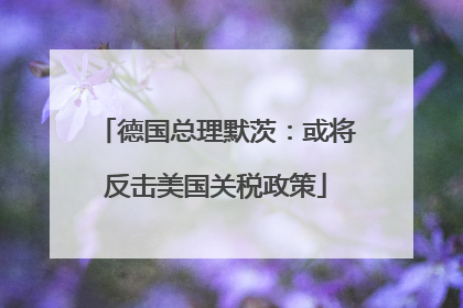 德国总理默茨：或将反击美国关税政策