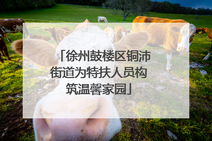 徐州鼓楼区铜沛街道为特扶人员构筑温馨家园