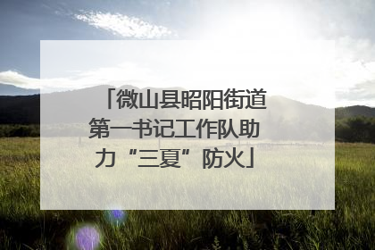 微山县昭阳街道第一书记工作队助力“三夏”防火
