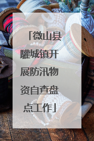 微山县驩城镇开展防汛物资自查盘点工作