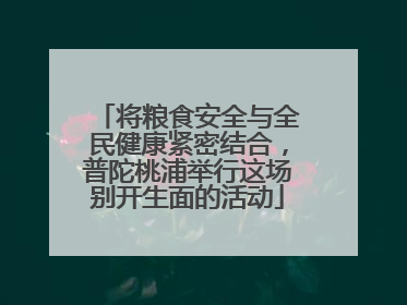 将粮食安全与全民健康紧密结合，普陀桃浦举行这场别开生面的活动