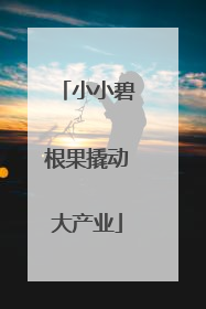 小小碧根果撬动大产业