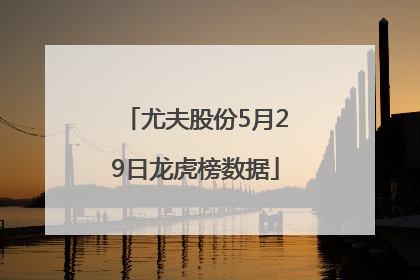 尤夫股份5月29日龙虎榜数据