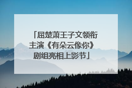 屈楚萧王子文领衔主演《有朵云像你》剧组亮相上影节