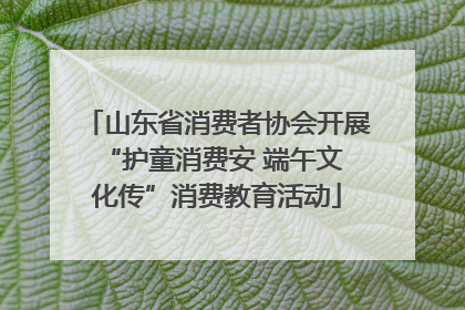 山东省消费者协会开展 “护童消费安 端午文化传”消费教育活动