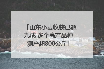 山东小麦收获已超九成 多个高产品种测产超800公斤