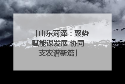 山东菏泽：聚势赋能谋发展 协同支农谱新篇