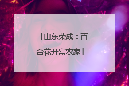 山东荣成：百合花开富农家
