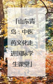 山东青岛：中医药文化走进国际学生课堂