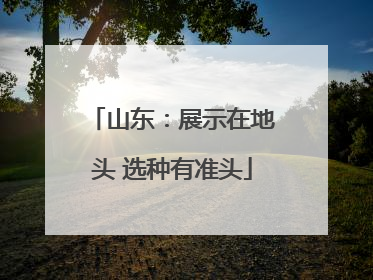 山东：展示在地头 选种有准头