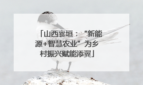 山西襄垣：“新能源+智慧农业”为乡村振兴赋能添翼