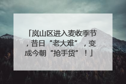岚山区进入麦收季节，昔日“老大难”，变成今朝“抢手货”！