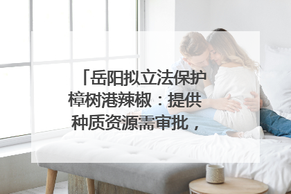 岳阳拟立法保护樟树港辣椒：提供种质资源需审批，违规最高罚5万
