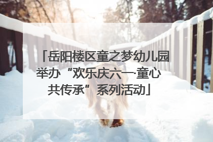 岳阳楼区童之梦幼儿园举办“欢乐庆六一·童心共传承”系列活动