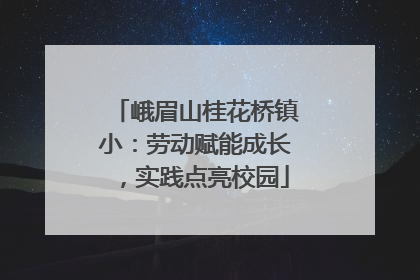 峨眉山桂花桥镇小：劳动赋能成长，实践点亮校园