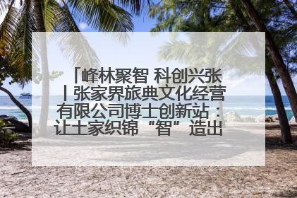峰林聚智 科创兴张丨张家界旅典文化经营有限公司博士创新站：让土家织锦“智”造出非遗新传奇