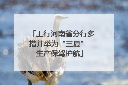 工行河南省分行多措并举为“三夏” 生产保驾护航