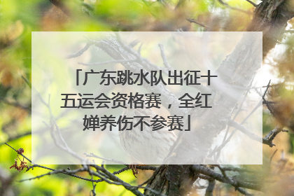 广东跳水队出征十五运会资格赛，全红婵养伤不参赛