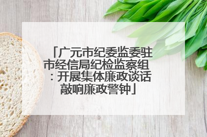 广元市纪委监委驻市经信局纪检监察组：开展集体廉政谈话 敲响廉政警钟