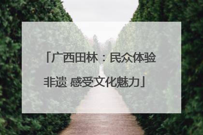 广西田林：民众体验非遗 感受文化魅力