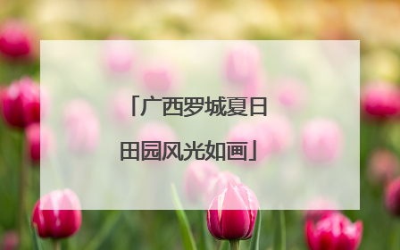 广西罗城夏日田园风光如画