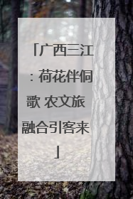 广西三江：荷花伴侗歌 农文旅融合引客来