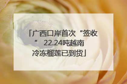 广西口岸首次“签收” 22.24吨越南冷冻榴莲已到货