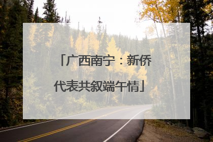广西南宁：新侨代表共叙端午情