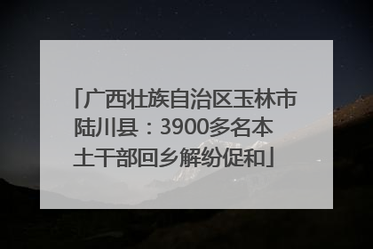广西壮族自治区玉林市陆川县：3900多名本土干部回乡解纷促和
