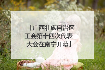 广西壮族自治区工会第十四次代表大会在南宁开幕