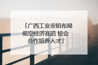 广西工业重镇布局低空经济赛道 校企合作培养人才