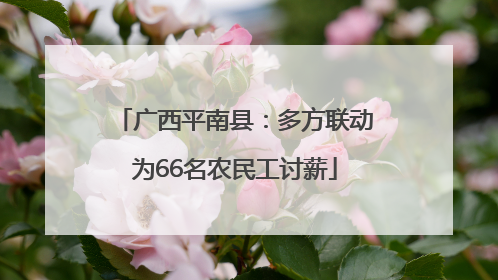 广西平南县：多方联动为66名农民工讨薪