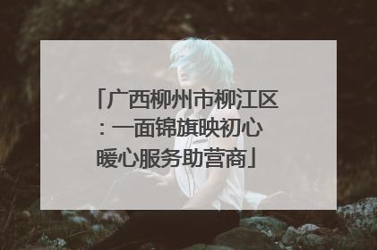 广西柳州市柳江区：一面锦旗映初心 暖心服务助营商