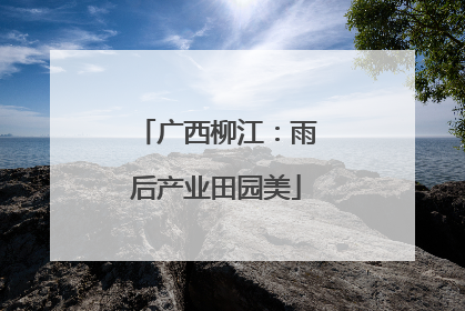 广西柳江：雨后产业田园美