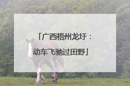 广西梧州龙圩：动车飞驰过田野