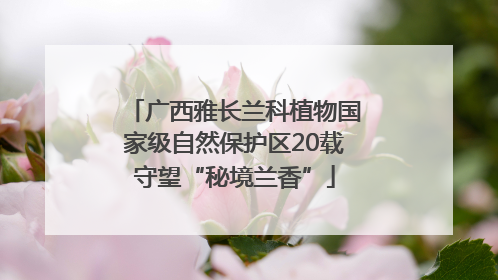广西雅长兰科植物国家级自然保护区20载守望“秘境兰香”