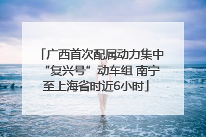 广西首次配属动力集中“复兴号”动车组 南宁至上海省时近6小时