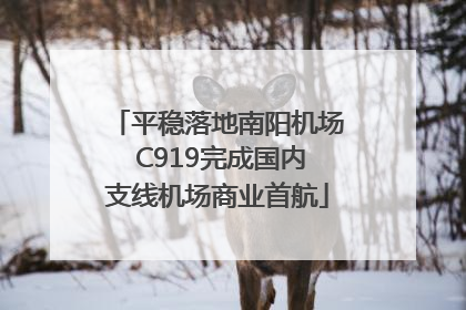 平稳落地南阳机场 C919完成国内支线机场商业首航