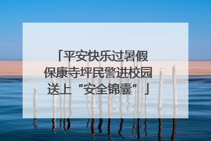 平安快乐过暑假 保康寺坪民警进校园送上“安全锦囊”