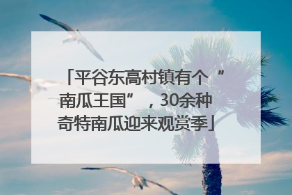 平谷东高村镇有个“南瓜王国”，30余种奇特南瓜迎来观赏季