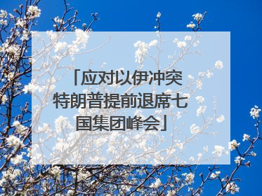 应对以伊冲突 特朗普提前退席七国集团峰会