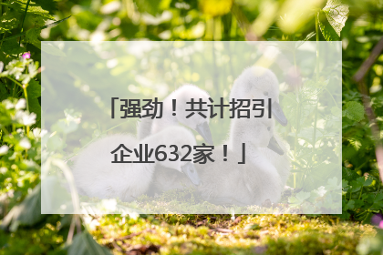 强劲！共计招引企业632家！