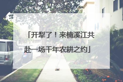 开犁了！来楠溪江共赴一场千年农耕之约