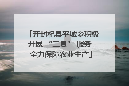 开封杞县平城乡积极开展 “三夏” 服务 全力保障农业生产