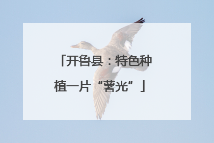 开鲁县：特色种植一片“薯光”