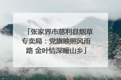 张家界市慈利县烟草专卖局：党旗映照风雨路 金叶情深暖山乡