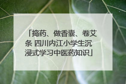 捣药、做香囊、卷艾条 四川内江小学生沉浸式学习中医药知识