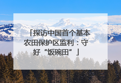 探访中国首个基本农田保护区监利：守好“饭碗田”