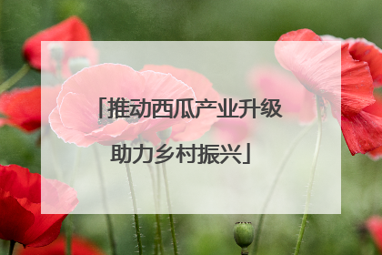 推动西瓜产业升级 助力乡村振兴